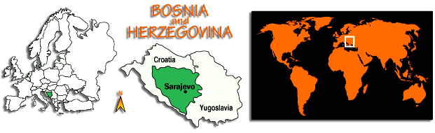 bosnia.gif - 24.69 K