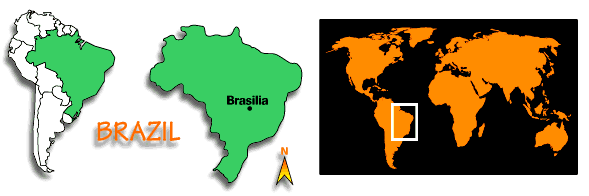 brazil.gif - 13.25 K